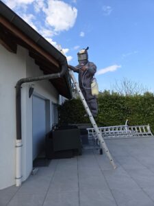 27962147 6adb 4481 9b44 c73b21dc4a5b